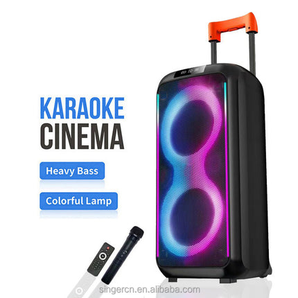 Dual 8 Inch RGB Light Trolley Speakers Guitar Amp Bass Combo Speaker for Street Performance DR-8831