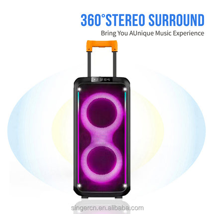 Dual 8 Inch RGB Light Trolley Speakers Guitar Amp Bass Combo Speaker for Street Performance DR-8831