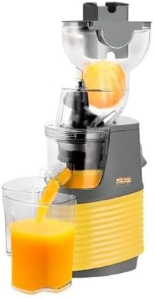 DSP KJ3071 Professional juicer machine 250W Fruit juicer-Whole Slow juicer