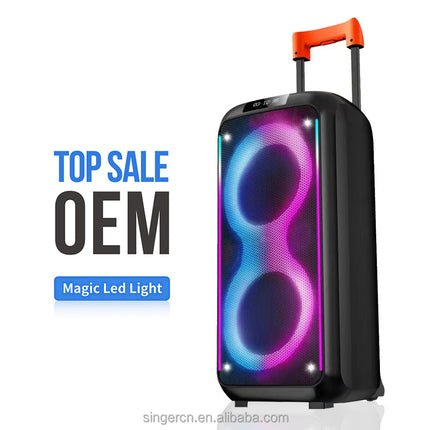 Dual 8 Inch RGB Light Trolley Speakers Guitar Amp Bass Combo Speaker for Street Performance DR-8831