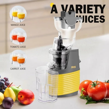 DSP KJ3071 Professional juicer machine 250W Fruit juicer-Whole Slow juicer