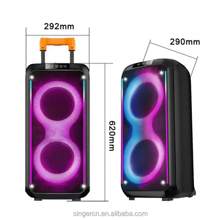 Dual 8 Inch RGB Light Trolley Speakers Guitar Amp Bass Combo Speaker for Street Performance DR-8831