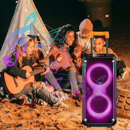 Dual 8 Inch RGB Light Trolley Speakers Guitar Amp Bass Combo Speaker for Street Performance DR-8831