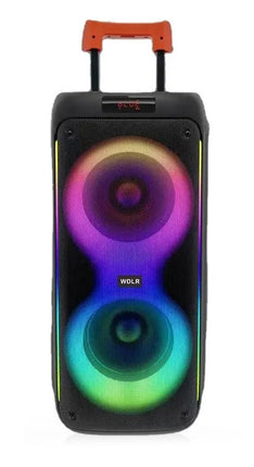 Dual 8 Inch RGB Light Trolley Speakers Guitar Amp Bass Combo Speaker for Street Performance DR-8831