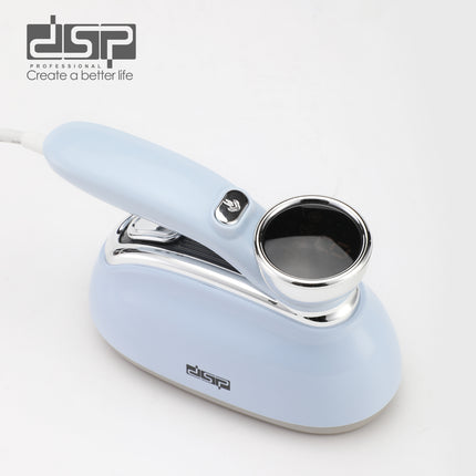 DSP Hot Seller 1200W Glass Steam Iron 3 Speed 25s Heat Protect for Home Use Safeguards Silk Hair Fabrics Fast Flat Ironing