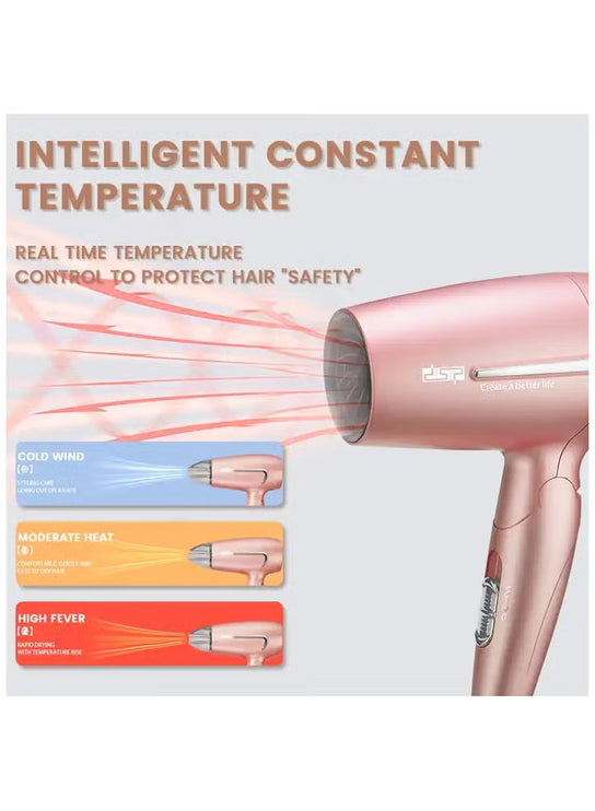 DSP Soft Hair Intelligent Constant Temperature Cold Wind Moderate Heat 1200W / 30299